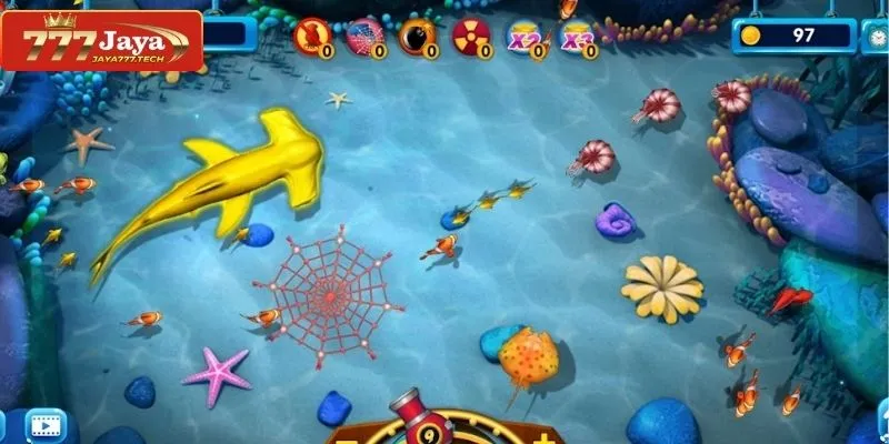 Understanding Fish Cycles