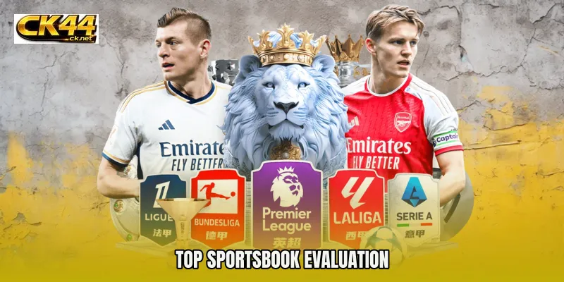top sportsbook evaluation